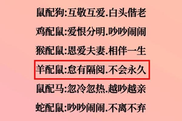 属牛男和属鼠女在感情中的优势与挑战