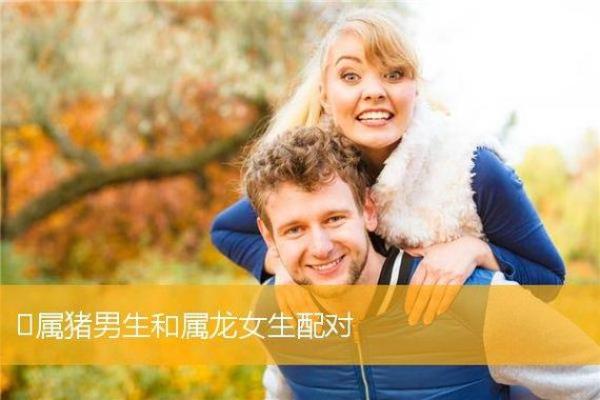 属龙女与属猪男的缘分揭秘：两者的爱情配对如何？