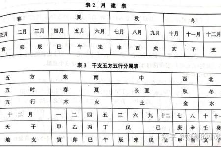 探索天干配数与命运之间的关系