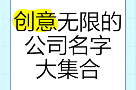 从公司命名的独特性与创新