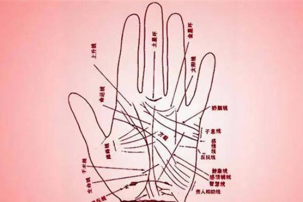 自学手相：一门解读命运的艺术