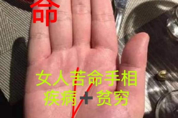 手相面相全揭秘：解读掌纹与面部特征中的命运密码