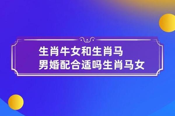 属猪女和属牛男的爱情能走多远？揭秘相配与相冲的奥秘