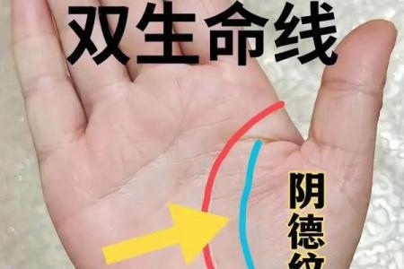 亿万富翁的手相纹：成功与财富的内在联系