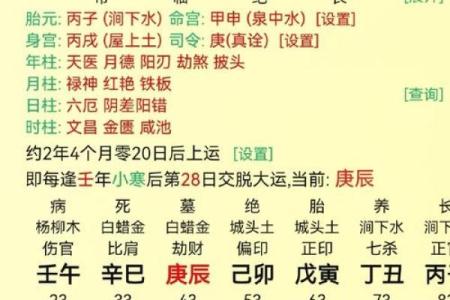 什么是纯合命及其在命理学中的重要性