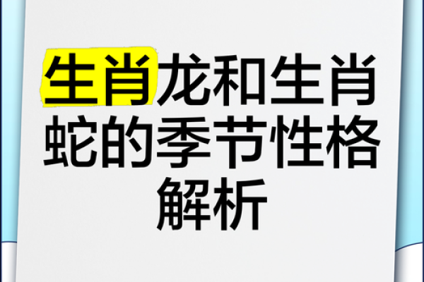 属龙与属狗的婚配解析：性格互补还是难以融合？