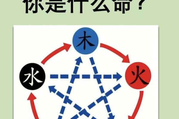 棠字五行属什么 探索其在命理中的深层意义