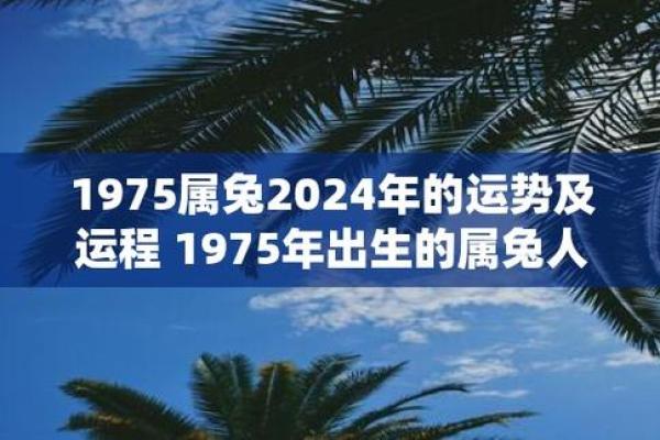 生肖兔几岁？了解不同出生年份的兔子年龄