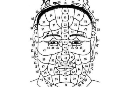从面相看命运：如何通过面部特征了解个人运势