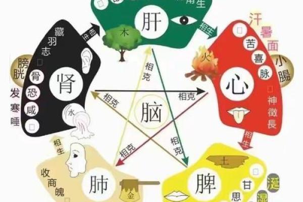 果字五行属性解析及其与命理的关系