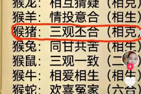 属龙男和属猴女的关系考察：是缘分还是挑战？