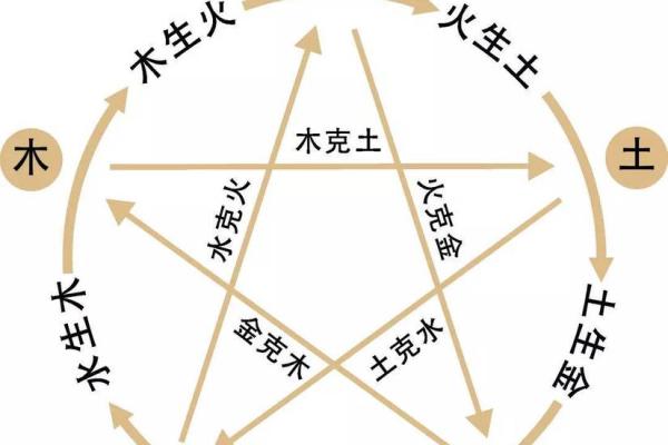 五脏六腑与五行相生相克的深层联系解析