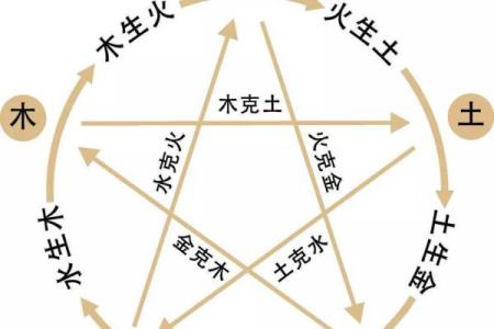 五脏六腑与五行相生相克的深层联系解析