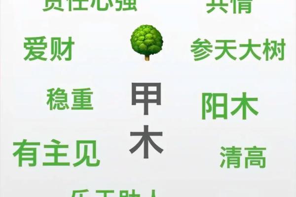 天干的字数及其文化意义探究