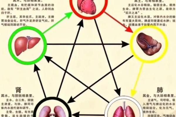 宗字五行属性分析及其对命理的影响