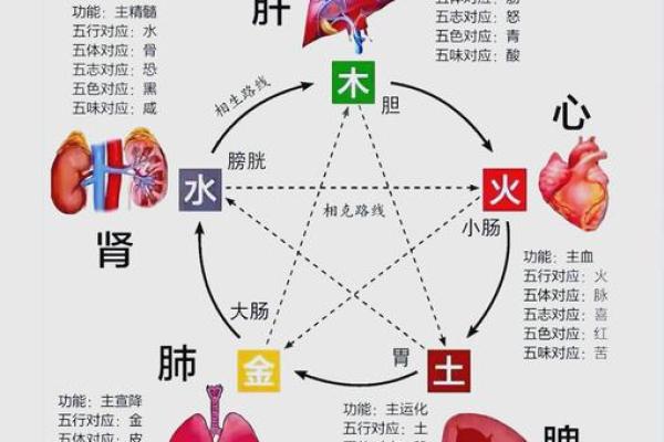 字五行的奥秘与应用探索