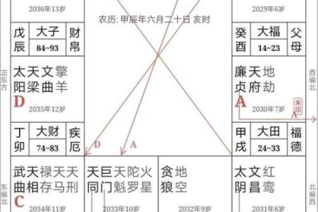 紫微斗数排盘步骤解析与技巧分享