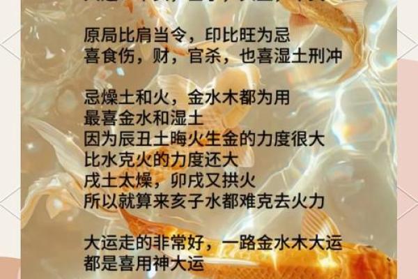 面相与性格：解读面相中的老实信号