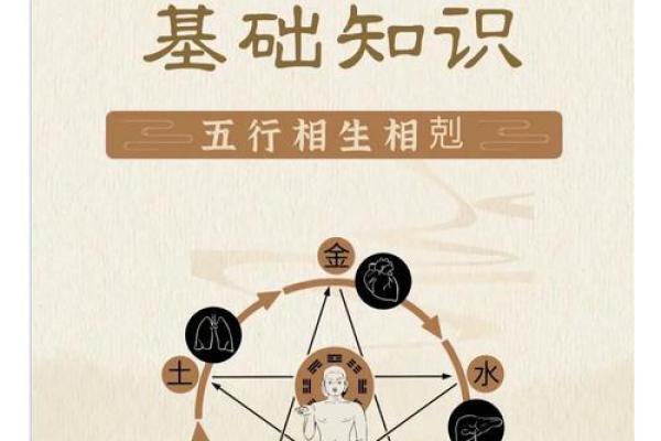 命理神奇：如何利用五行学说优化人生发展