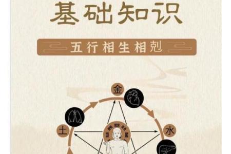 命理神奇：如何利用五行学说优化人生发展