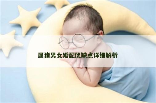 属猪男女婚配优缺点详细解析