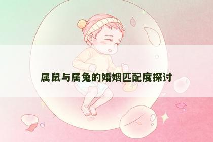 属鼠与属兔的婚姻匹配度探讨