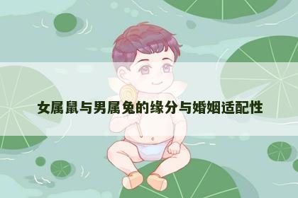 女属鼠与男属兔的缘分与婚姻适配性