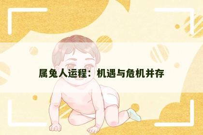 属兔人运程：机遇与危机并存