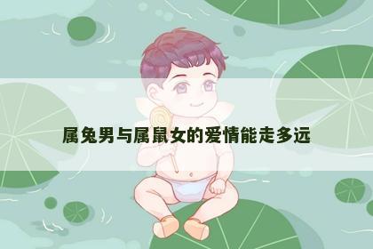 属兔男与属鼠女的爱情能走多远