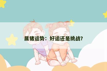 属猪运势：好运还是挑战？