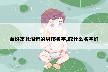 单姓寓意深远的男孩名字,取什么名字好