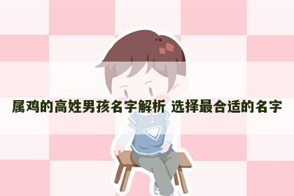 属鸡的高姓男孩名字解析 选择最合适的名字