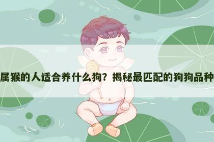 属猴的人适合养什么狗？揭秘最匹配的狗狗品种