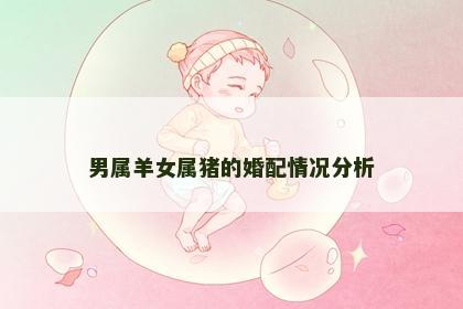 男属羊女属猪的婚配情况分析