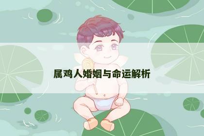 属鸡人婚姻与命运解析