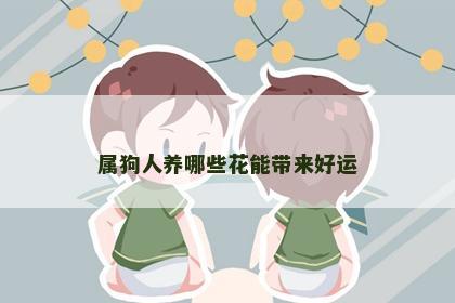 属狗人养哪些花能带来好运