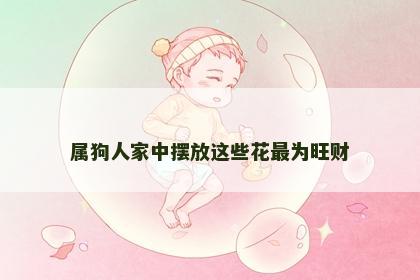 属狗人家中摆放这些花最为旺财