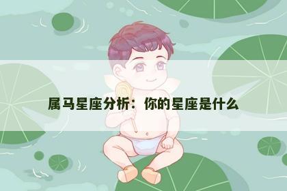 属马星座分析：你的星座是什么