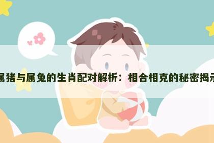 属猪与属兔的生肖配对解析：相合相克的秘密揭示