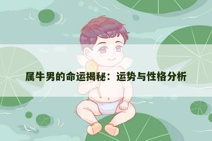 属牛男的命运揭秘：运势与性格分析