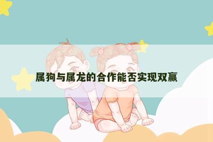 属狗与属龙的合作能否实现双赢