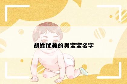 胡姓优美的男宝宝名字