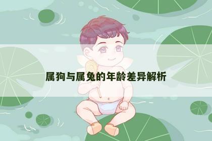 属狗与属兔的年龄差异解析