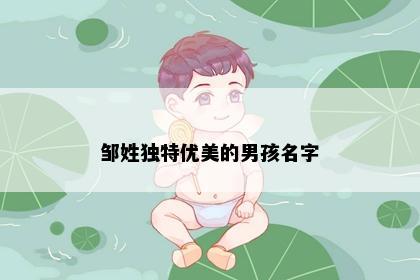 邹姓独特优美的男孩名字