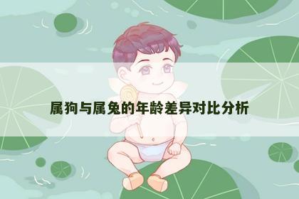 属狗与属兔的年龄差异对比分析