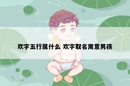 欢字五行属什么 欢字取名寓意男孩