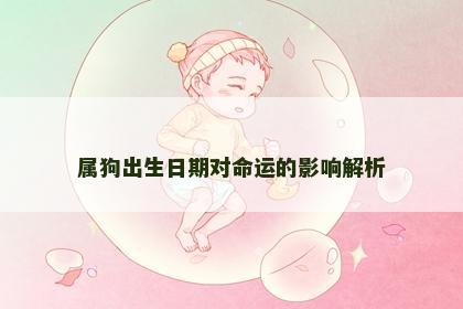 属狗出生日期对命运的影响解析