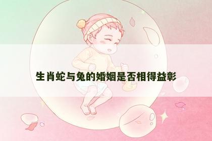 生肖蛇与兔的婚姻是否相得益彰