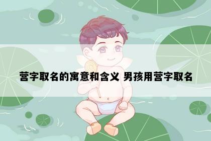 营字取名的寓意和含义 男孩用营字取名