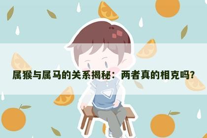 属猴与属马的关系揭秘：两者真的相克吗？